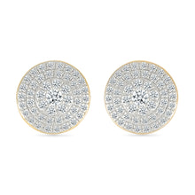 Sparkling Embrace Stud Earrings
