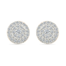Shimmering  Clusters Earrings
