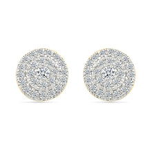 Shimmering  Clusters Earrings