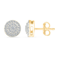 Shimmering  Clusters Earrings