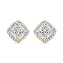 Dazzling Duo Earrings